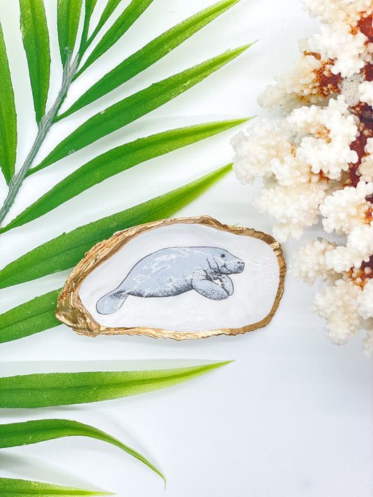 Manatee Oyster Jewelry Dish